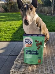 De hond van Jaime
