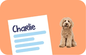 Vertel ons over je hond