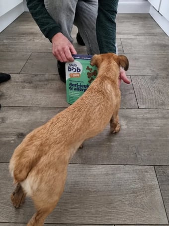 Foto van Dinie Debrabander