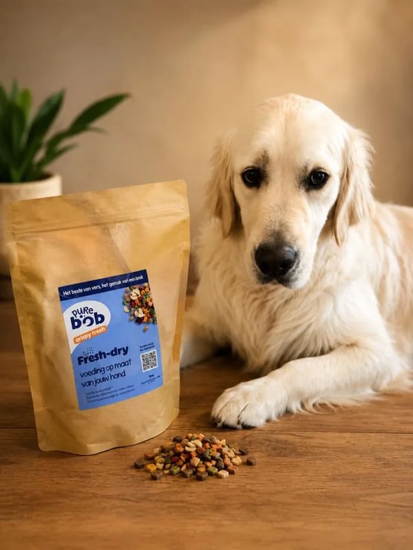 Golden retriever ligt naast een zak Pure Bob fresh-dry