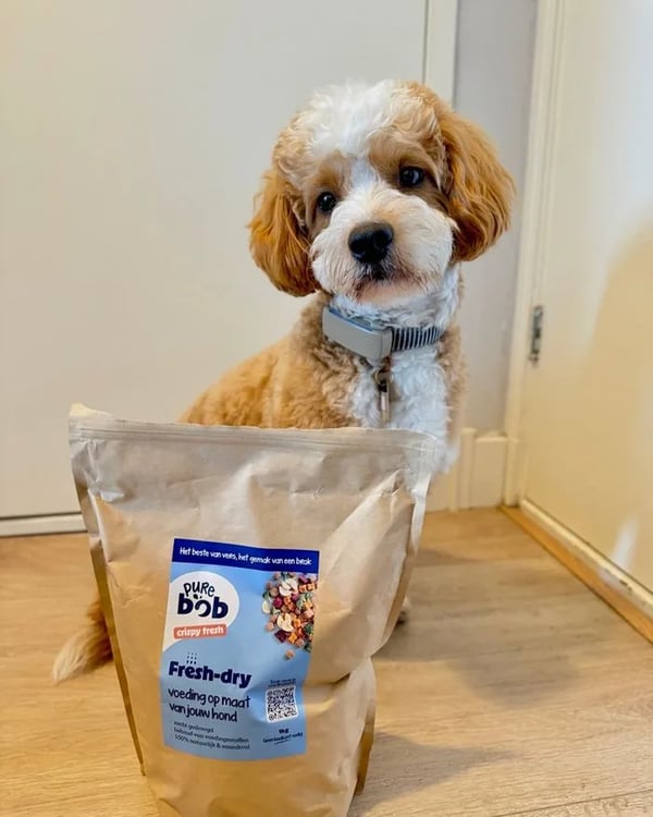Krullende pup zit achter een zak Pure Bob fresh-dry