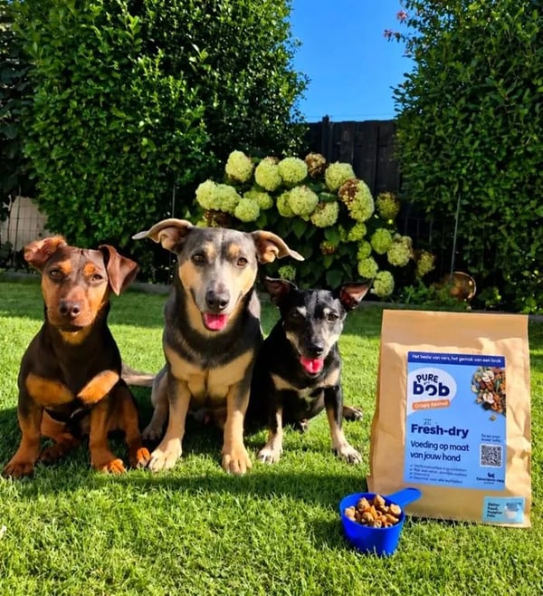 Drie honden in de tuin naast een zak Pure Bob fresh-dry en een bakje brokjes