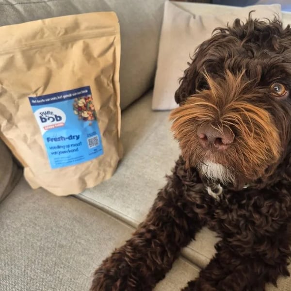 Bruine hond op de bank naast een zak Pure Bob fresh-dry