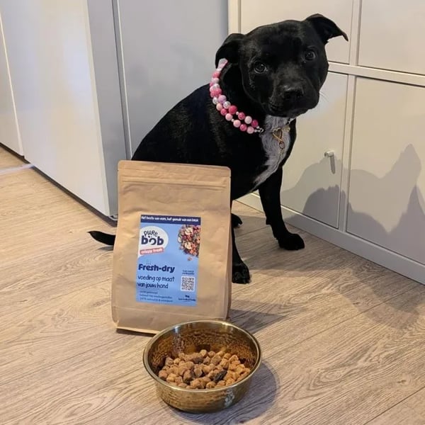 Zwarte hond wacht bij een gevulde voerbak en een zak Pure Bob fresh-dry