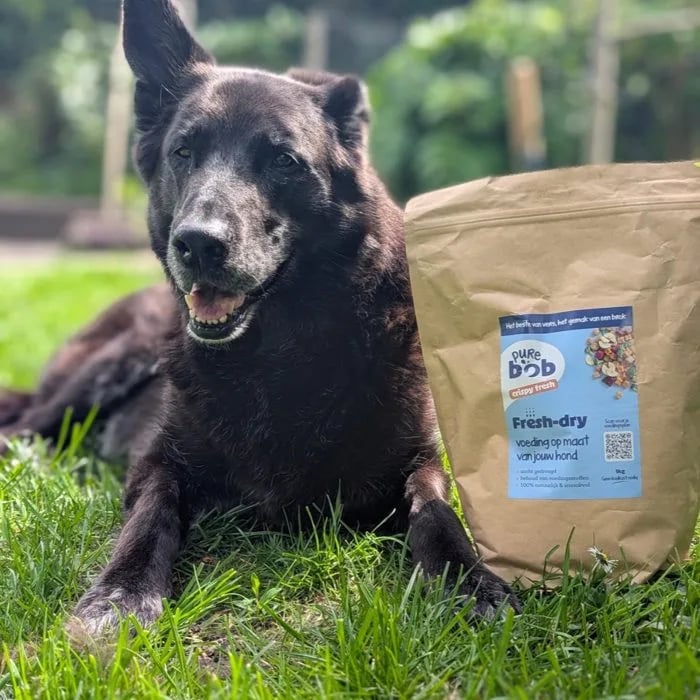 Hond in het gras naast een zak Pure Bob